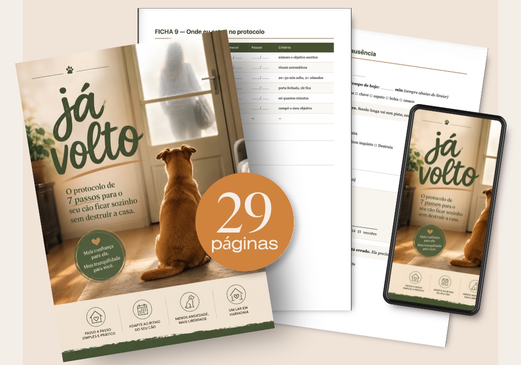 O guia Já Volto: capa impressa, as fichas de acompanhamento e o material aberto no celular